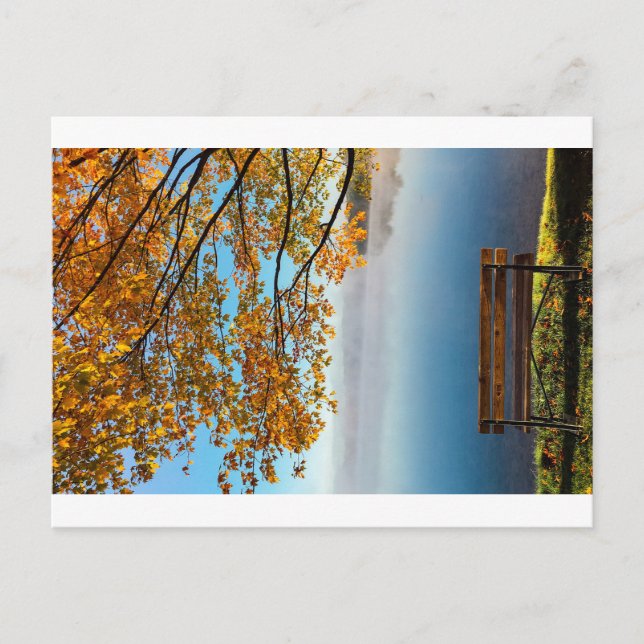 CARTE POSTALE DANS LES COULEURS DE LA NATURE L'AUTOMNE (Devant)