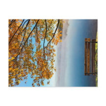 DANS LES COULEURS DE LA NATURE L'AUTOMNE