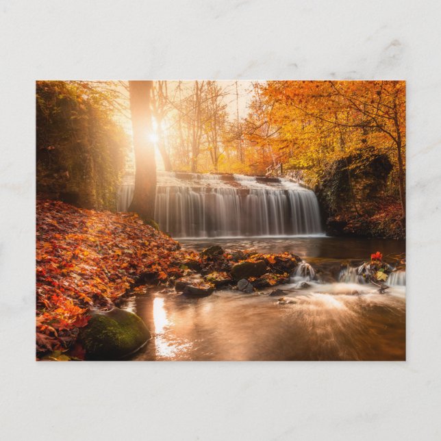 CARTE POSTALE DANS LES COULEURS DE L'AUTOMNE (Devant)