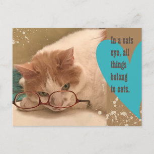Carte Postale Dans l'oeil d'un chat Drôle de chat