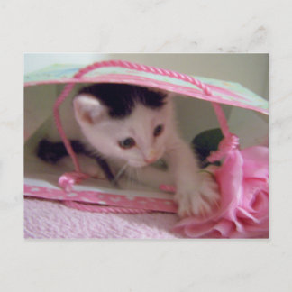 Carte Postale dans un sac cadeau