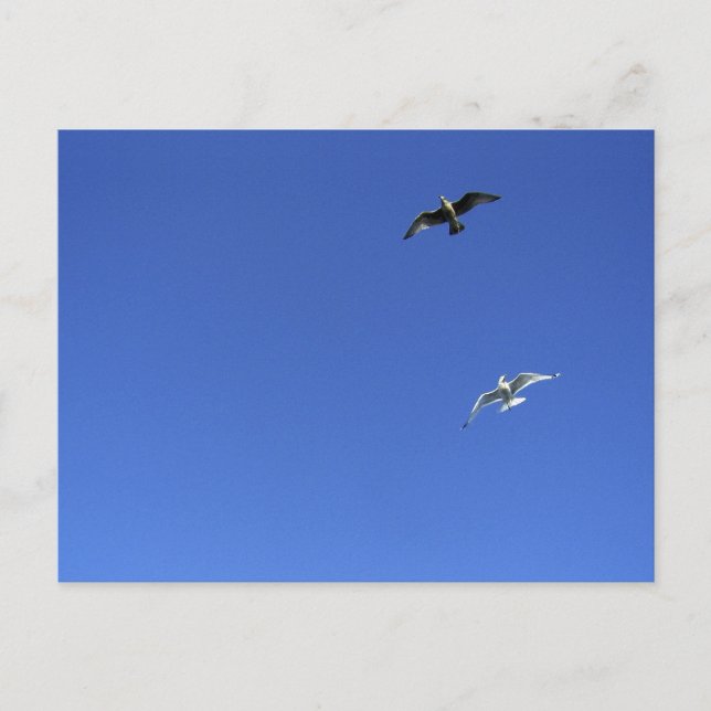 Carte Postale danse de la liberté (Devant)