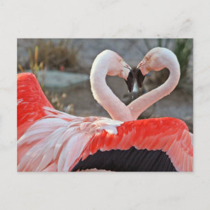 Carte Postale Danse de l'amour