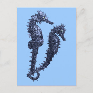 Carte Postale Danse Des Chevaux De Mer (Bleu)