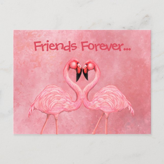 Carte Postale Danse Flamant rose (Devant)