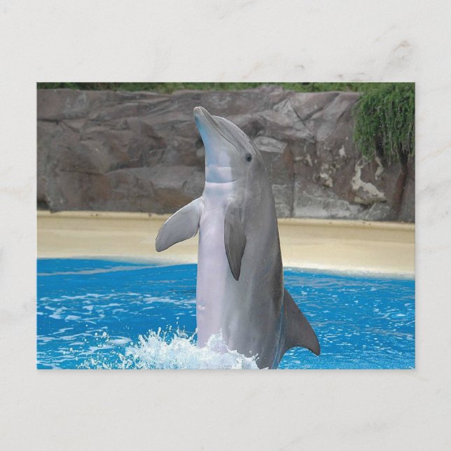 Carte postale Danser (Devant)