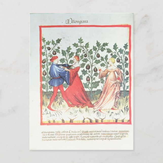 Carte Postale Danseurs devant Broom Plantes, 13ème siècle (Devant)