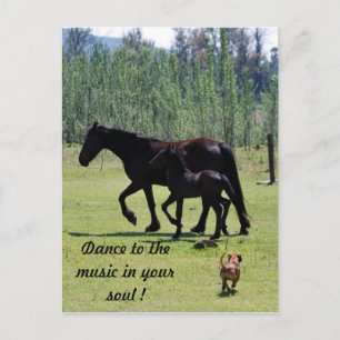 Carte Postale Dansez sur la musique dans votre âme