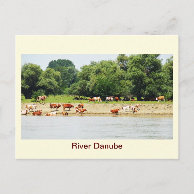Carte Postale Danube (Devant)