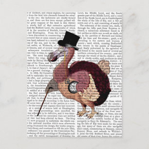 Carte Postale Dapper Dodo