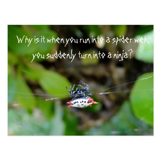 Carte Postale D Araignee De Crabe Citation Drole Zazzle Fr