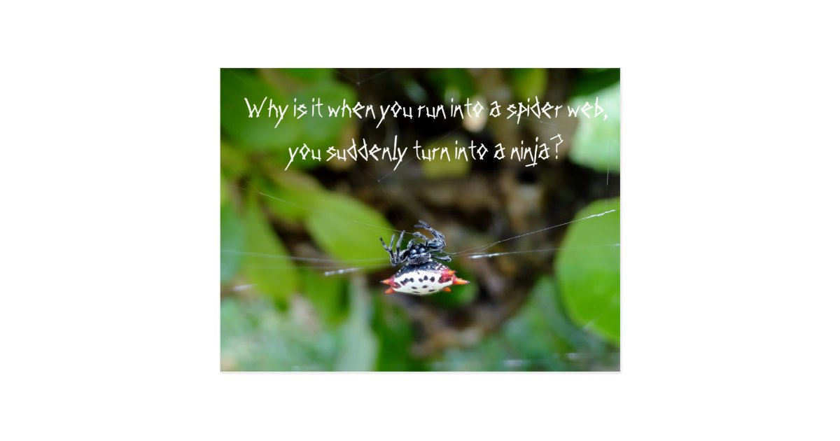Carte Postale D Araignee De Crabe Citation Drole Zazzle Fr