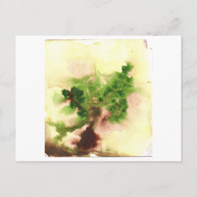 Carte postale d'arbre pâle (Devant)