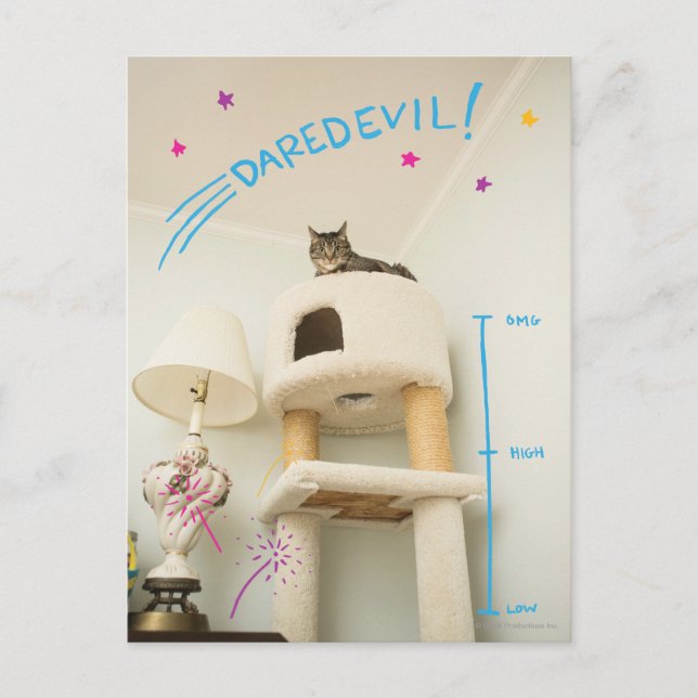 Carte Postale Daredevil Cat (Devant)