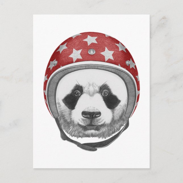 Carte Postale Daredevil Panda (Devant)