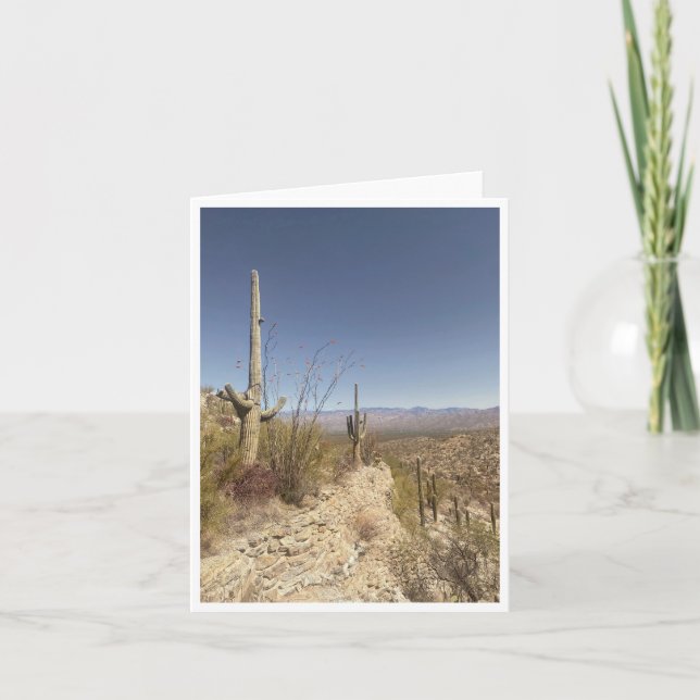 Carte postale d'Arizona 3 (Devant)