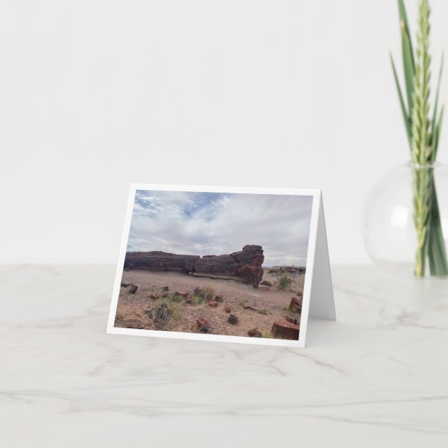 Carte postale d'Arizona 6 (Devant)