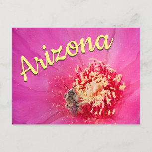 Carte postale d'Arizona, abeille sur fleur de figu