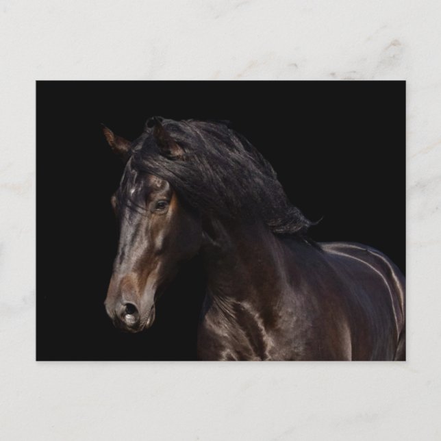 Carte Postale Dark Bay (Devant)