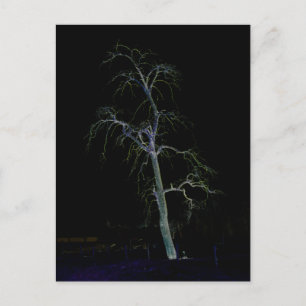 Carte Postale Dark Side 8 pccnm