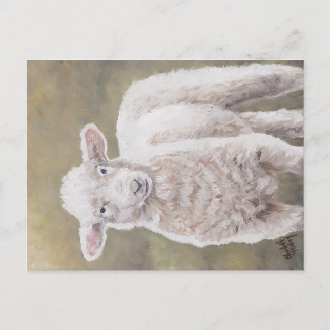Carte postale d'art animal de mouton d'agneau conv (Devant)