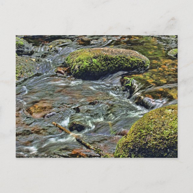 Carte Postale Dart de la rivière Dartmeet Dartmoor (Devant)