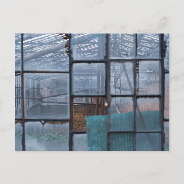 Carte postale d'art fine de la serre (Devant)