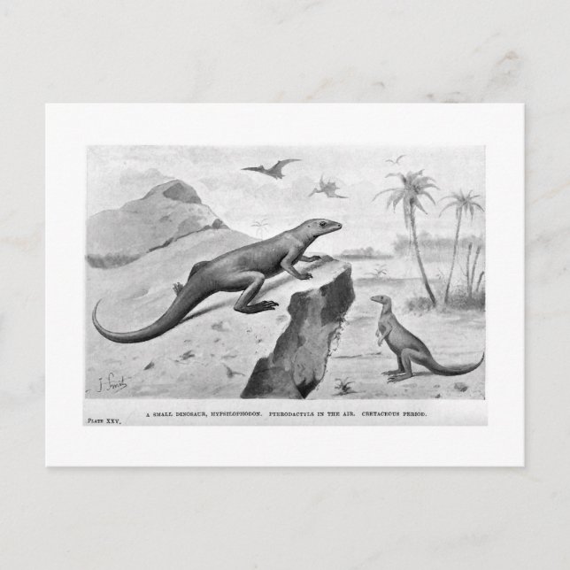Carte postale d'art Hypsilophodon (Devant)