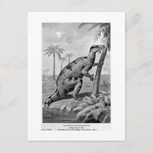 Carte postale d'art Iguanodon bernissartensis