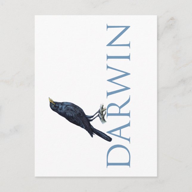 Carte Postale Darwin (Devant)