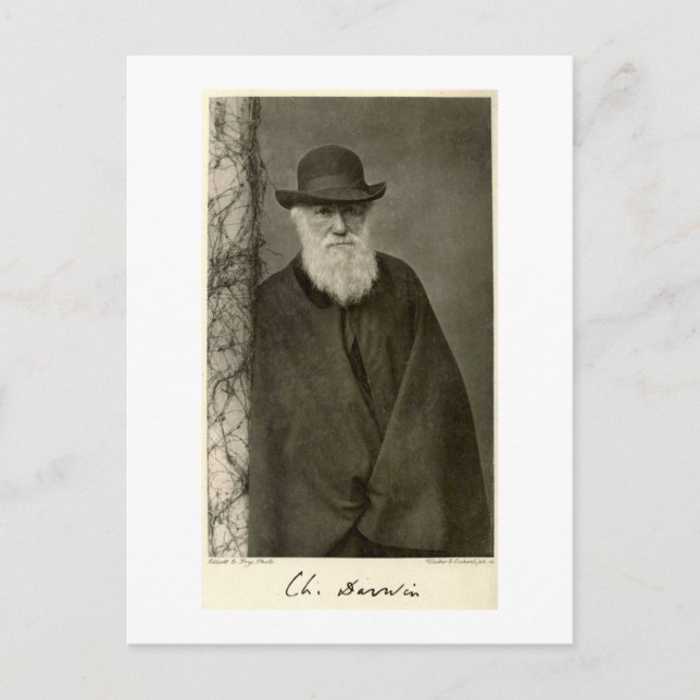 Carte Postale Darwin debout à côté d'un pilier, publié en 1908 (Devant)
