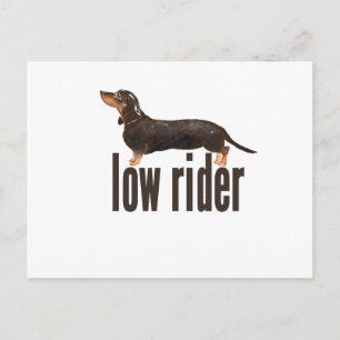 Carte Postale Daschund Saucisse Chien