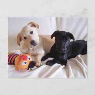 Carte postale Data et Violet 2
