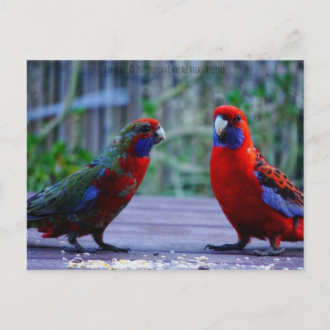 Carte Postale Date (Devant)