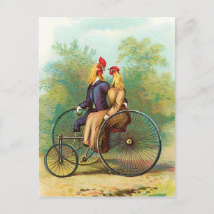 Carte Postale Date du vélo romantique Rooster