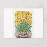 date limite de réponse fleurs jonquille jaune vint