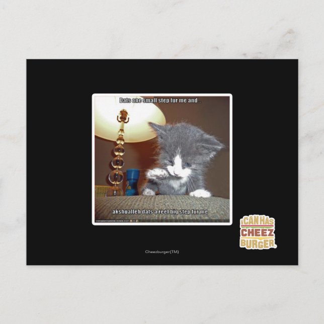 Carte Postale Dats une petite étape me fourrure (Devant)