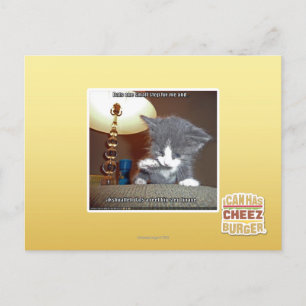 Carte Postale Dats une petite étape me fourrure