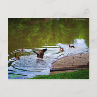Carte postale d'atterrissage souple
