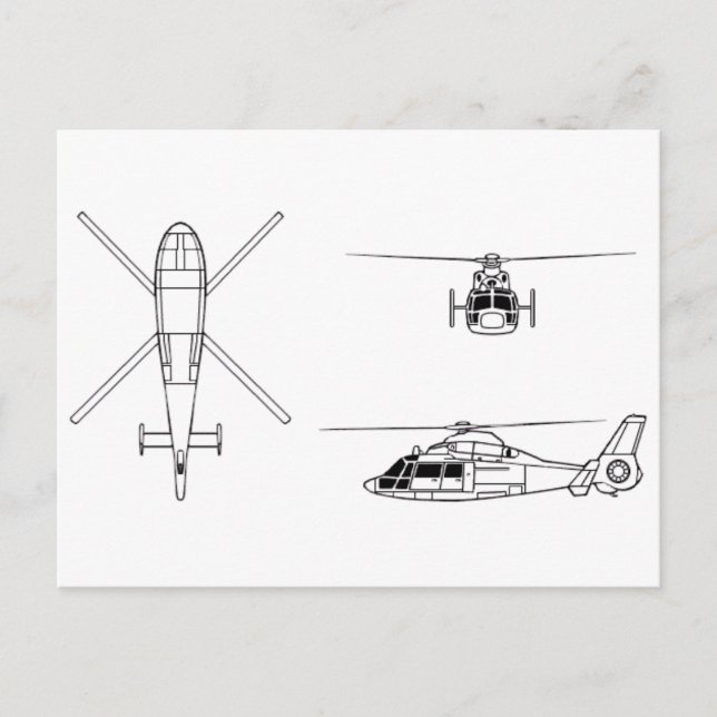 Carte Postale Dauphin2 (Devant)