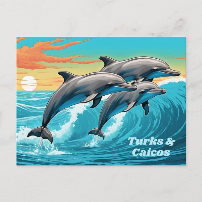 Carte Postale Dauphin de Turc et Caicos (Devant)
