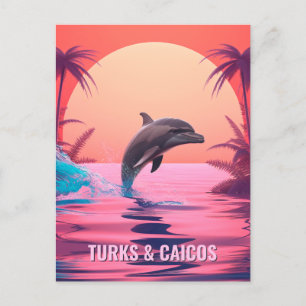 Carte Postale Dauphin de Turc et Caicos