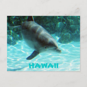 Carte Postale Dauphin d'Hawaii