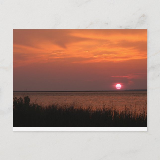Carte Postale Dauphin Island, AL Sunset (Devant)