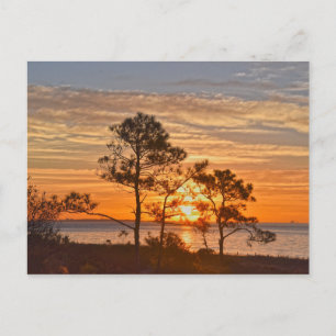 Carte Postale Dauphin Island Refuge Sunrise, Alabama