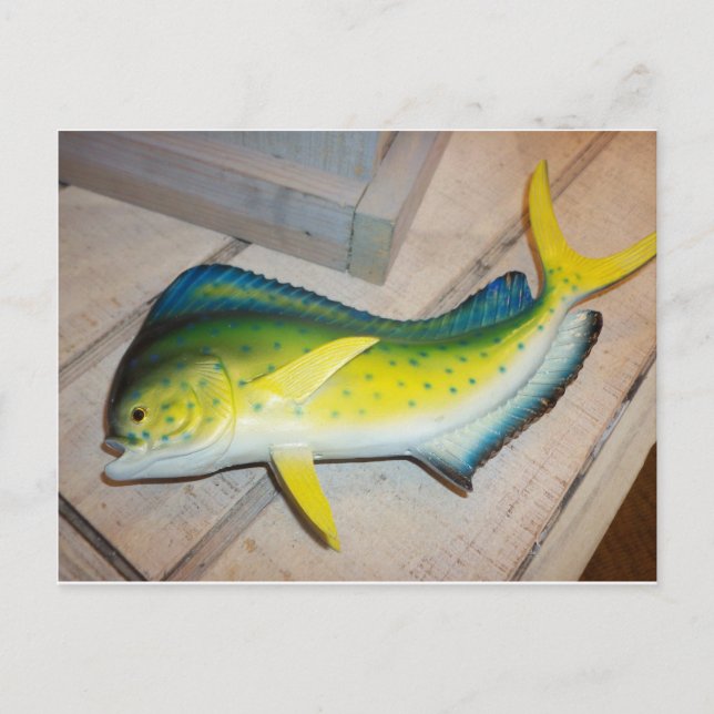 Carte Postale Dauphin Le Poisson (Pas Le Mammifère) (Devant)