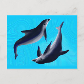 Carte Postale Dauphins