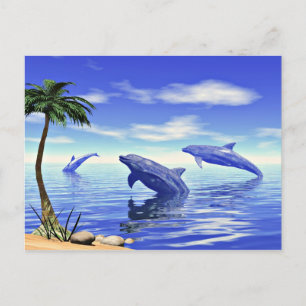 Carte Postale Dauphins