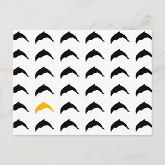 Carte Postale dauphins