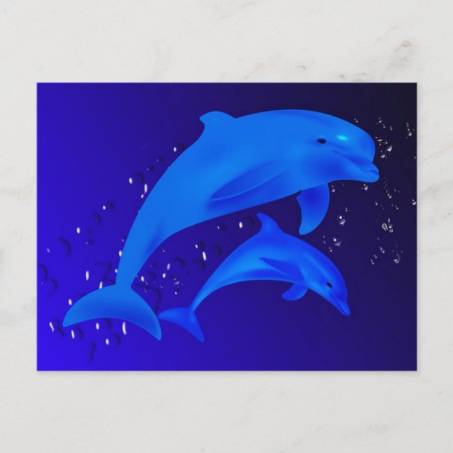 Carte Postale Dauphins (Devant)